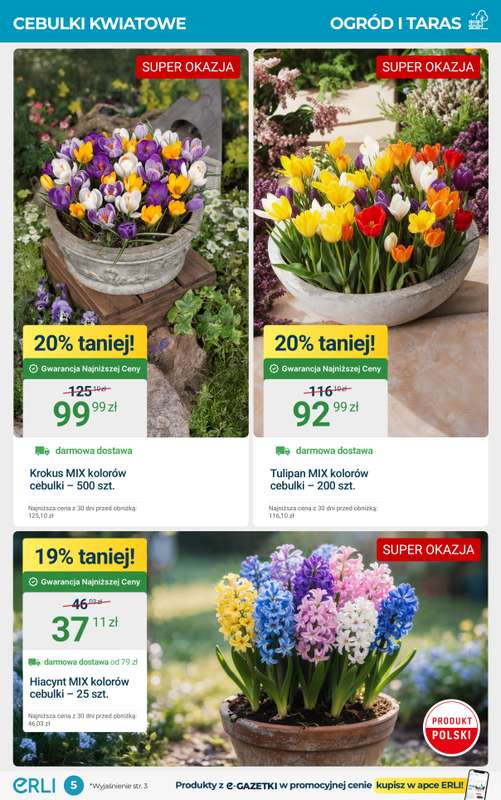 Erli - gazetka promocyjna Wielka promocja: warsztat i ogród! od czwartku 30.10 do niedzieli 02.11 - strona 5