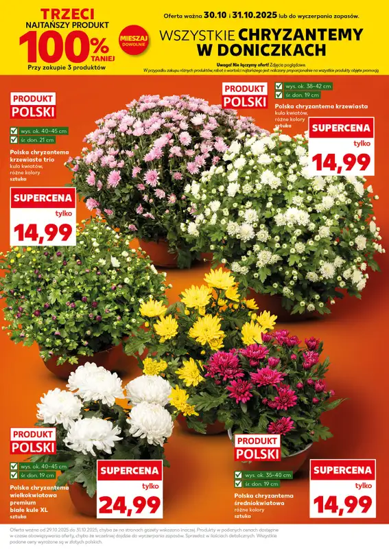 Kaufland - gazetka promocyjna Oferta Kaufland od środy 29.10 do środy 05.11 - strona 25