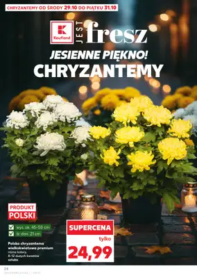 Kaufland - gazetka promocyjna Oferta Kaufland od środy 29.10 do środy 05.11 - strona 24 Kaufland - gazetka promocyjna Oferta Kaufland od środy 29.10 do środy 05.11 - strona 24