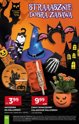 Stokrotka - gazetka promocyjna Gazetka Supermarket od czwartku 30.10 do środy 05.11 - strona 25 Stokrotka - gazetka promocyjna Gazetka Supermarket od czwartku 30.10 do środy 05.11 - strona 25