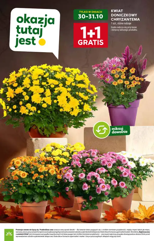 Stokrotka - gazetka promocyjna Gazetka Market od czwartku 30.10 do środy 05.11 - strona 21