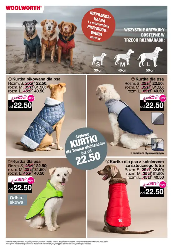 Woolworth - gazetka promocyjna Gazetka od piątku 31.10 do poniedziałku 10.11 - strona 15