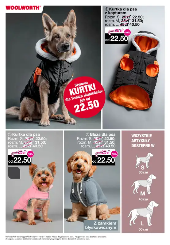 Woolworth - gazetka promocyjna Gazetka od piątku 31.10 do poniedziałku 10.11 - strona 16