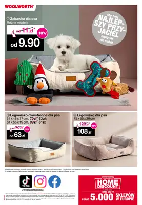 Woolworth - gazetka promocyjna Gazetka od piątku 31.10 do poniedziałku 10.11 - strona 17 Woolworth - gazetka promocyjna Gazetka od piątku 31.10 do poniedziałku 10.11 - strona 17