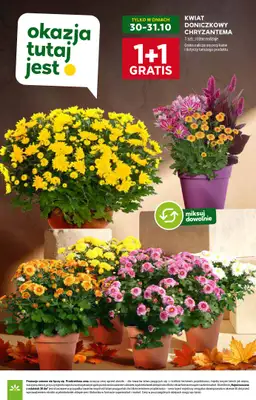 Stokrotka - gazetka promocyjna Gazetka Supermarket od czwartku 30.10 do środy 05.11 - strona 6