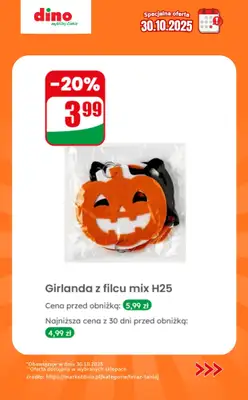 Dino - gazetka promocyjna Specjalna oferta na 30.10.2025 - promocje spoza gazetki od czwartku 30.10 do czwartku 30.10 - strona 9