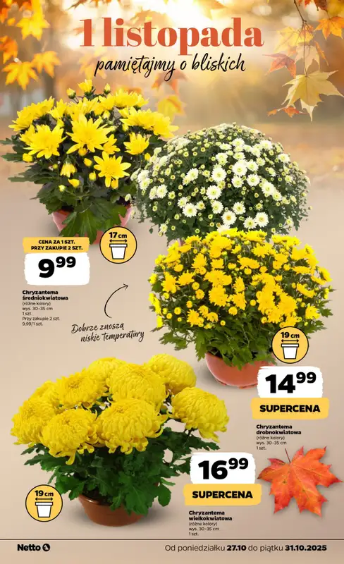 Netto - gazetka promocyjna Wszystkich Świętych w Netto   - strona 2