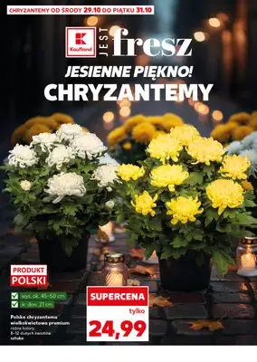 Kaufland - gazetka promocyjna Super piątek! od piątku 31.10 do piątku 31.10 - strona 14 Kaufland - gazetka promocyjna Super piątek! od piątku 31.10 do piątku 31.10 - strona 14