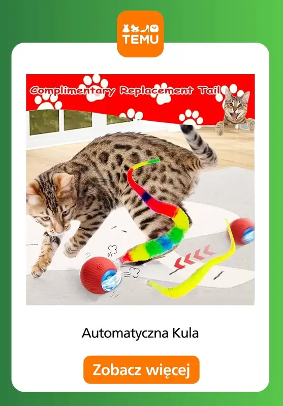 Temu - gazetka promocyjna Zabawki dla zwierząt od czwartku 30.10  - strona 15