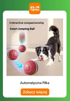 Temu - gazetka promocyjna Zabawki dla zwierząt od czwartku 30.10  - strona 14 Temu - gazetka promocyjna Zabawki dla zwierząt od czwartku 30.10  - strona 14