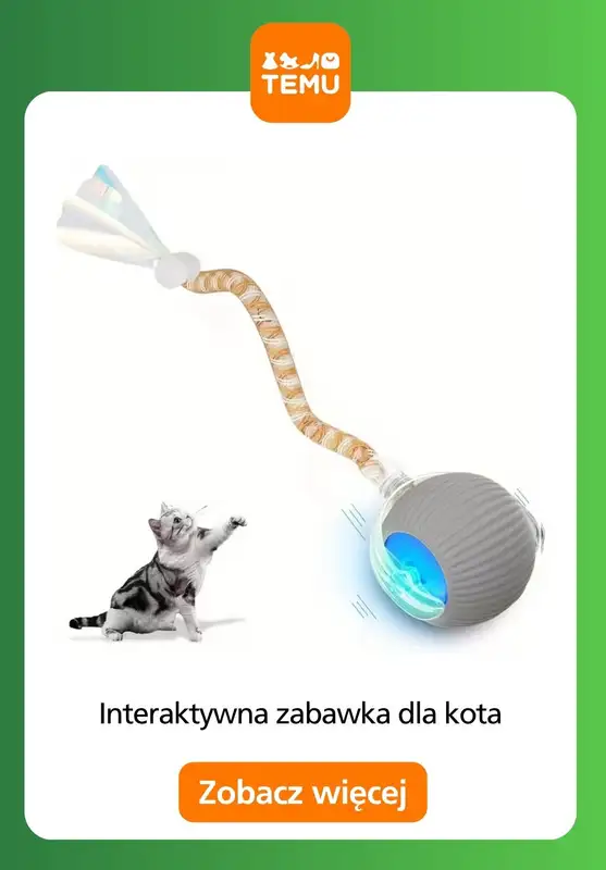 Temu - gazetka promocyjna Zabawki dla zwierząt od czwartku 30.10  - strona 13