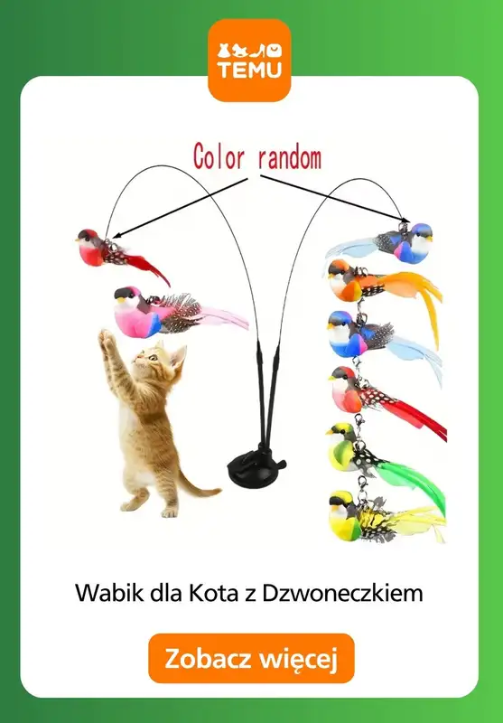 Temu - gazetka promocyjna Zabawki dla zwierząt od czwartku 30.10  - strona 4