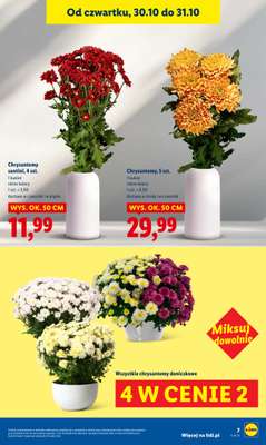 Lidl - gazetka promocyjna Oferta od czwartku od czwartku 30.10 do piątku 31.10 - strona 7