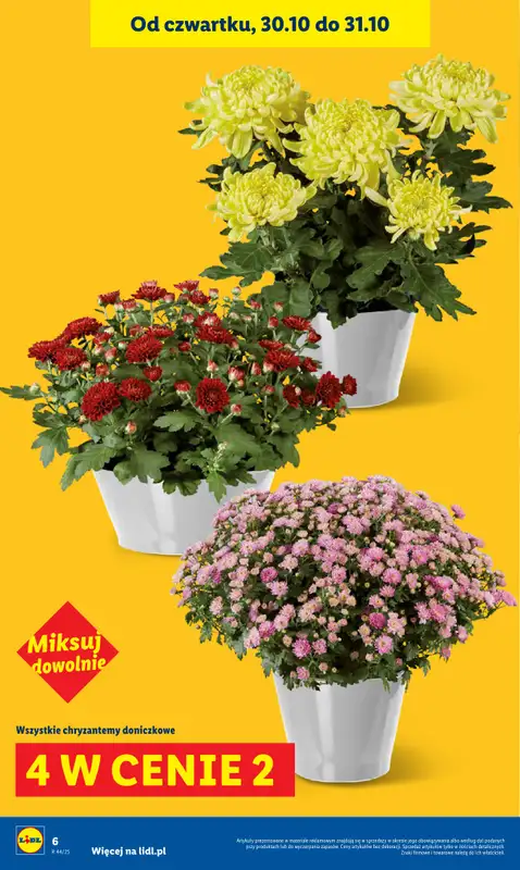 Lidl - gazetka promocyjna Oferta od czwartku od czwartku 30.10 do piątku 31.10 - strona 6