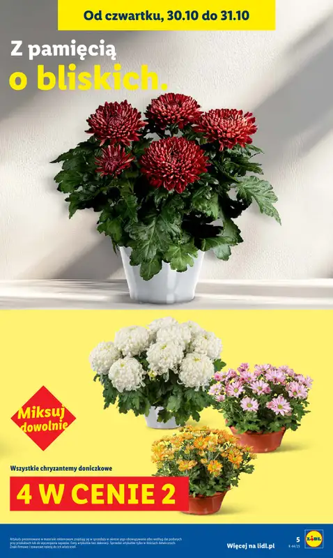 Lidl - gazetka promocyjna Oferta od czwartku od czwartku 30.10 do piątku 31.10 - strona 5