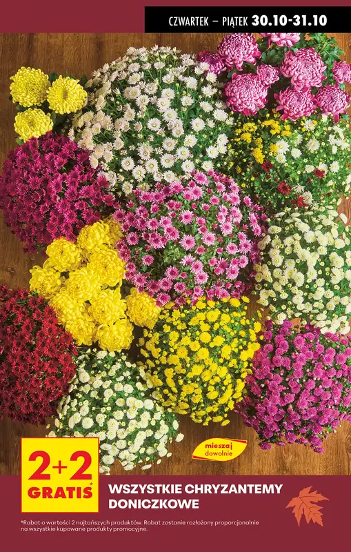 Biedronka - gazetka promocyjna Kwiaty i znicze w Biedronce   - strona 3