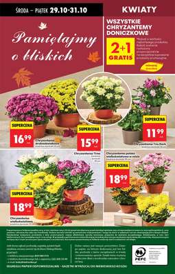 Biedronka - gazetka promocyjna Od środy od środy 29.10 do środy 05.11 - strona 86