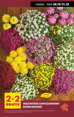 Biedronka - gazetka promocyjna Od środy, Z ladą tradycyjną od środy 29.10 do środy 05.11 - strona 22 Biedronka - gazetka promocyjna Od środy, Z ladą tradycyjną od środy 29.10 do środy 05.11 - strona 22