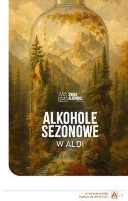 Aldi - gazetka promocyjna Gazetka alkoholowa od poniedziałku 03.11 do soboty 29.11 - strona 19
