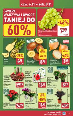Aldi - gazetka promocyjna Pełny katalog! od poniedziałku 03.11 do soboty 08.11 - strona 31