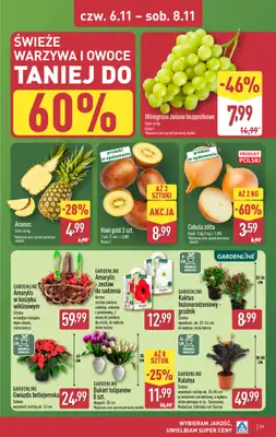 Aldi - gazetka promocyjna Pełny katalog! od poniedziałku 03.11 do soboty 08.11 - strona 31