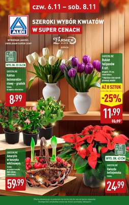Aldi - gazetka promocyjna Kwiaty w super cenach! od czwartku 06.11 do soboty 08.11
