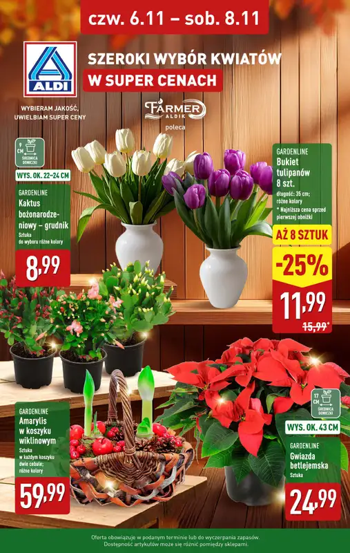 Aldi - gazetka promocyjna Kwiaty w super cenach!  