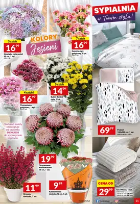 Twój Market - gazetka promocyjna Gazetka od środy 29.10 do wtorku 04.11 - strona 11 Twój Market - gazetka promocyjna Gazetka od środy 29.10 do wtorku 04.11 - strona 11