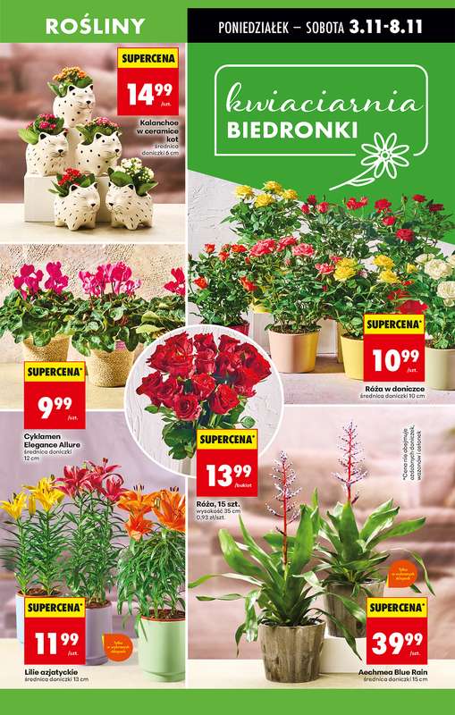 Biedronka - gazetka promocyjna Od poniedziałku od poniedziałku 03.11 do niedzieli 09.11 - strona 17