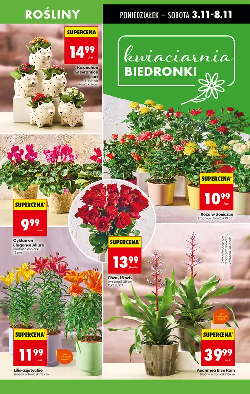 Biedronka - gazetka promocyjna Od poniedziałku od poniedziałku 03.11 do niedzieli 09.11 - strona 17