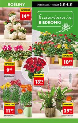 Biedronka - gazetka promocyjna Od poniedziałku, Z ladą tradycyjną od poniedziałku 03.11 do niedzieli 09.11 - strona 17