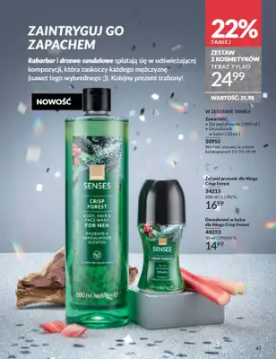 AVON - gazetka promocyjna Katalog Listopad 2025 od niedzieli 02.11 do niedzieli 30.11 - strona 47