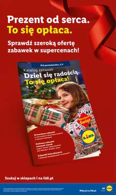 Lidl - gazetka promocyjna Katalog od poniedziałku 10.11 do soboty 15.11 - strona 47
