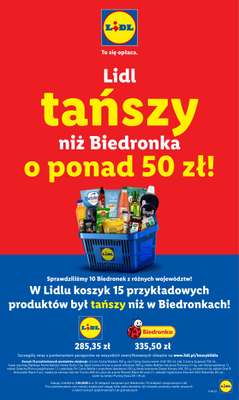 Lidl - gazetka promocyjna Katalog od poniedziałku 10.11 do soboty 15.11 - strona 11