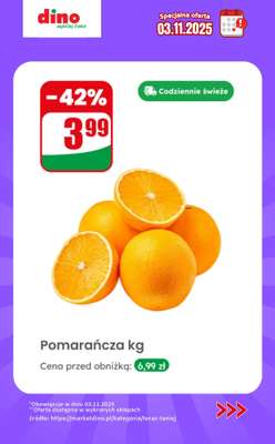 Dino - gazetka promocyjna Specjalna oferta na 03.11.2025 - promocje spoza gazetki od poniedziałku 03.11 do poniedziałku 03.11 - strona 2