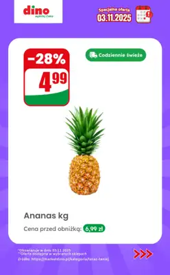 Dino - gazetka promocyjna Specjalna oferta na 03.11.2025 - promocje spoza gazetki od poniedziałku 03.11 do poniedziałku 03.11 - strona 3