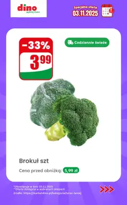Dino - gazetka promocyjna Specjalna oferta na 03.11.2025 - promocje spoza gazetki od poniedziałku 03.11 do poniedziałku 03.11 - strona 4