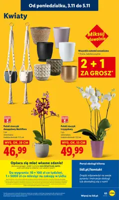 Lidl - gazetka promocyjna Oferta od poniedziałku od poniedziałku 03.11 do środy 05.11 - strona 65