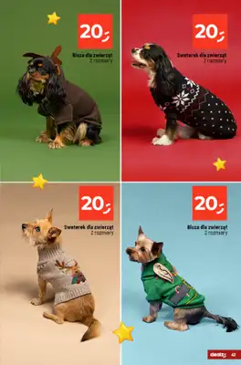 Dealz - gazetka promocyjna Dom Pełen Magii - Katalog Dekoracji od poniedziałku 03.11 do wtorku 23.12 - strona 41