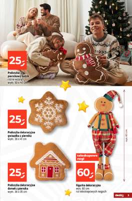 Dealz - gazetka promocyjna Dom Pełen Magii - Katalog Dekoracji  do wtorku 23.12 - strona 3