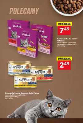 LEWIATAN - gazetka promocyjna MAMY TO w Lewiatanie od czwartku 06.11 do środy 12.11 - strona 13