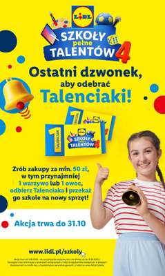 Lidl - gazetka promocyjna Katalog od poniedziałku 03.11 do soboty 08.11 - strona 13