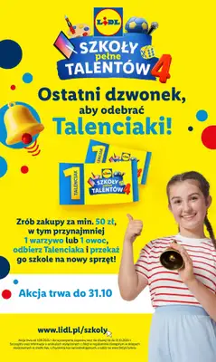 Lidl - gazetka promocyjna Katalog od poniedziałku 03.11 do soboty 08.11 - strona 13