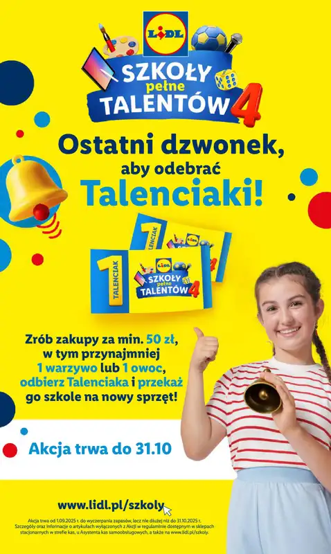 Lidl - gazetka promocyjna Katalog od poniedziałku 03.11 do soboty 08.11 - strona 13