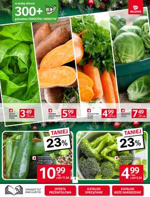 Selgros - gazetka promocyjna Oferta spożywcza od czwartku 06.11 do środy 19.11 - strona 3