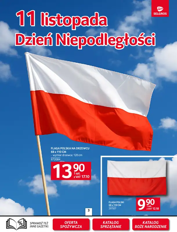 Selgros - gazetka promocyjna Oferta przemysłowa od czwartku 06.11 do środy 19.11 - strona 4