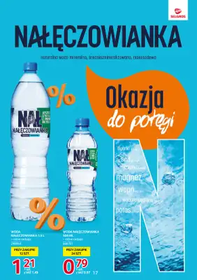 Selgros - gazetka promocyjna Katalog Markowe Produkty od czwartku 06.11 do środy 19.11 - strona 17
