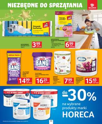 Selgros - gazetka promocyjna Katalog Sprzątanie od czwartku 06.11 do środy 19.11 - strona 11
