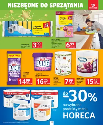 Selgros - gazetka promocyjna Katalog Sprzątanie od czwartku 06.11 do środy 19.11 - strona 11