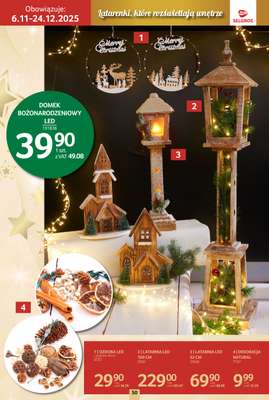 Selgros - gazetka promocyjna Katalog Boże Narodzenie od czwartku 06.11 do środy 19.11 - strona 50